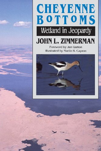 Cheyenne Bottoms Wetland In Jeopardy [Paperback]