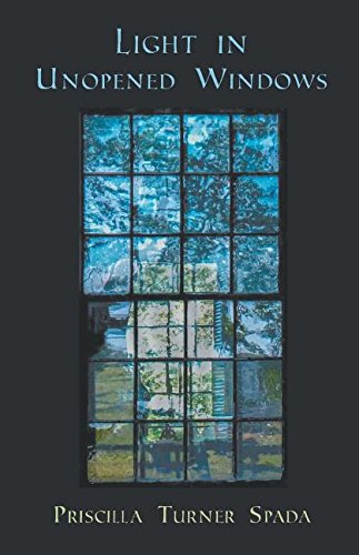 Light In Unopened Windows [Paperback]