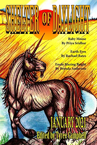 Shelter Of Daylight January 2021 [Paperback]