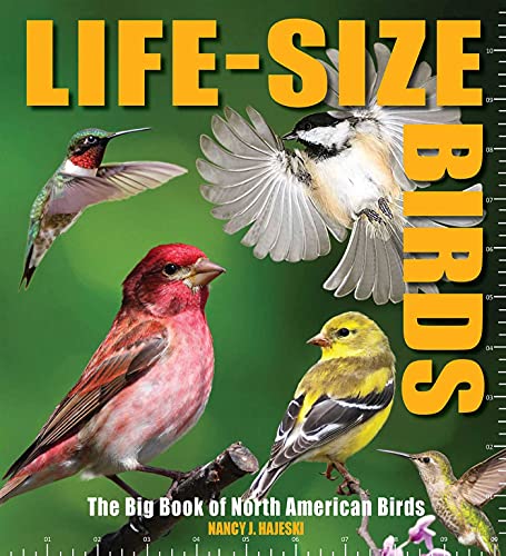 Life-Size Birds The Big Book of North American Birds [Hardcover]