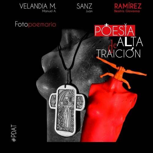 Poesa De Alta Traicin (spanish Edition) [Paperback]