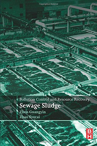 Pollution Control and Resource Recovery Sewage Sludge [Paperback]