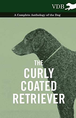 Curly Coated Retriever - a Complete Anthology of the Dog - [Paperback]