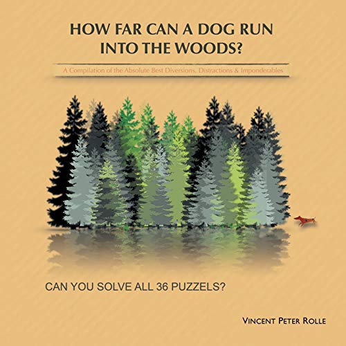 How Far Can A Dog Run Into The Woods [Paperback]