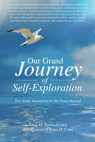 Our Grand Journey Of Self-Exploration Two Souls Journeying To The Great Beyond [Paperback]