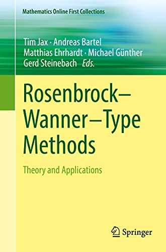 RosenbrockWannerType Methods Theory and Applications [Paperback]
