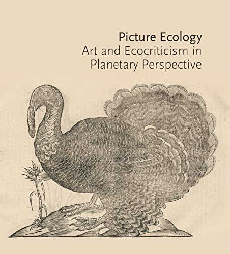 Picture Ecology Art and Ecocriticism in Planetary Perspective [Paperback]