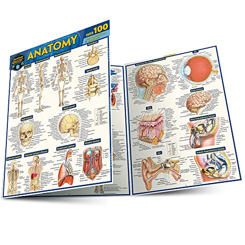 Anatomy Quizzer a QuickStudy Laminated Reference Guide [Fold-out book or cha]