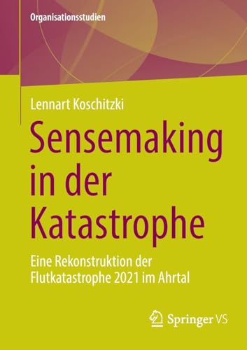 Sensemaking in der Katastrophe Eine Rekonstruktion der Flutkatastrophe 2021 im  [Paperback]