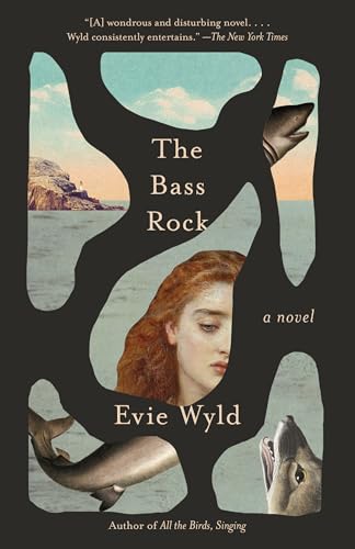 The Bass Rock A Novel [Paperback]