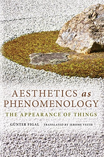 Aesthetics as Phenomenology The Appearance of Things [Hardcover]
