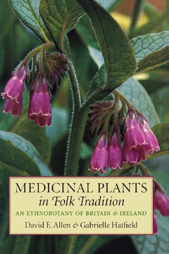 Medicinal Plants In Folk Tradition [Paperback]