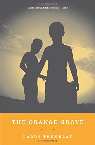 The Orange Grove A Novel [Paperback]