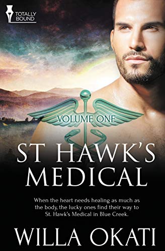 St. Hawk's Medical Vol 1 [Paperback]