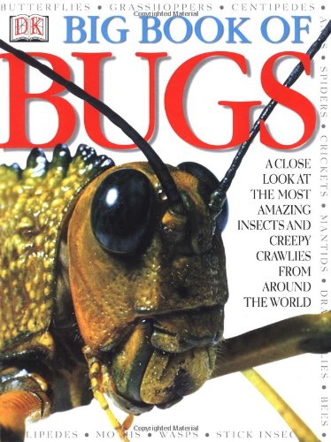 Big Book of Bugs [Hardcover]