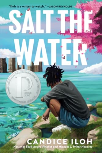 Salt the Water [Paperback]