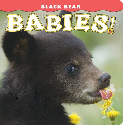 Black Bear Babies [Hardcover]
