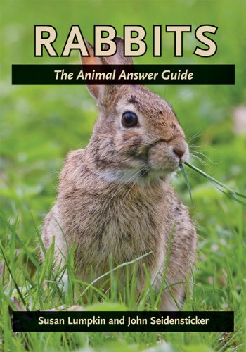 Rabbits The Animal Answer Guide [Hardcover]