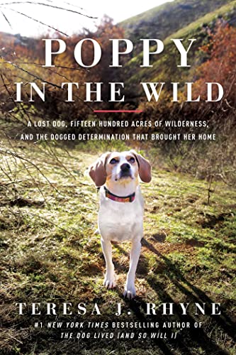 Poppy in the Wild A Lost Dog, Fifteen Hundred Acres of Wilderness, and the Dogg [Paperback]