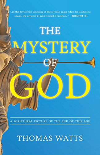 The Mystery Of God A Blueprint For Breaking The Chains That Threaten American E [Paperback]