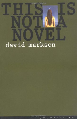 This Is Not a Novel [Paperback]