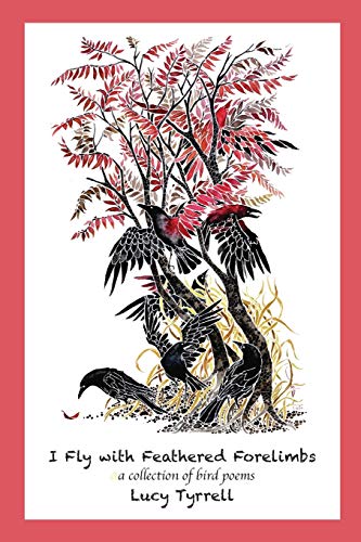 I Fly With Feathered Forelimbs