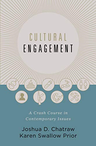 Cultural Engagement A Crash Course in Contemporary Issues [Hardcover]
