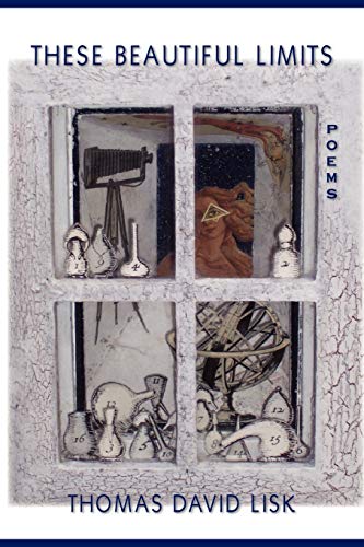 These Beautiful Limits [Paperback]