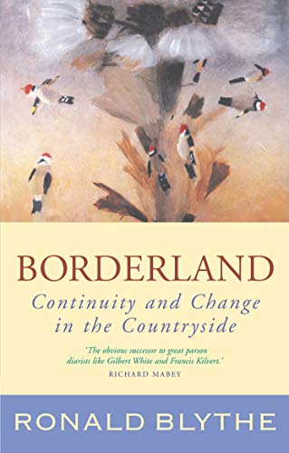 Borderland Continuity And Change In The Countryside (wormingford) [Paperback]