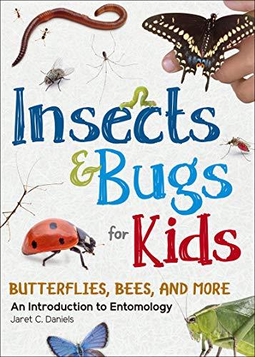 Insects &amp Bugs for Kids An Introduction to Entomology [Paperback]