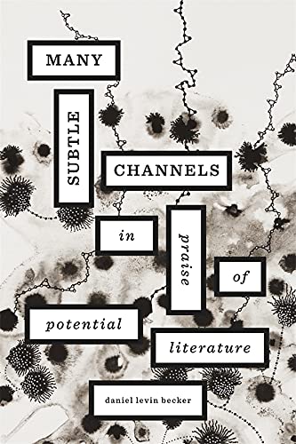 Many Subtle Channels In Praise of Potential Literature [Hardcover]