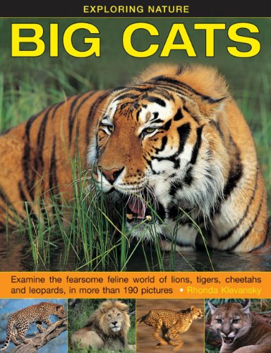 Exploring Nature Big Cats Examine The Fearsome Feline World Of Lions, Tigers,  [Hardcover]