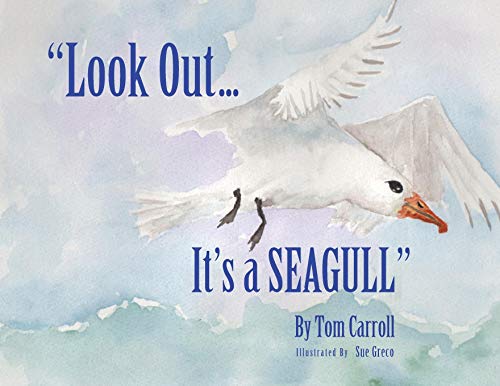 Look Out, It's a Seagull [Paperback]