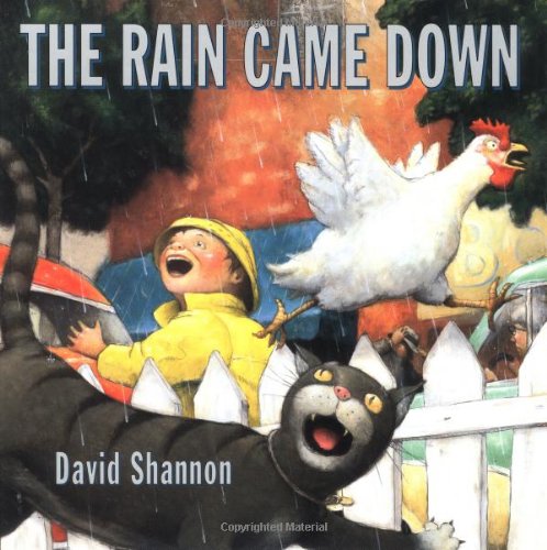 The Rain Came Down [Hardcover]