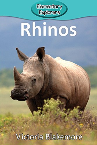 Rhinos [Paperback]