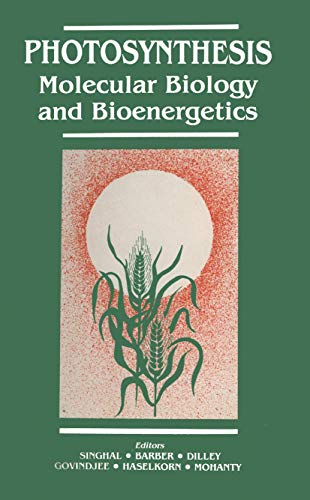 Photosynthesis Molecular Biology and Bioenergetics [Paperback]
