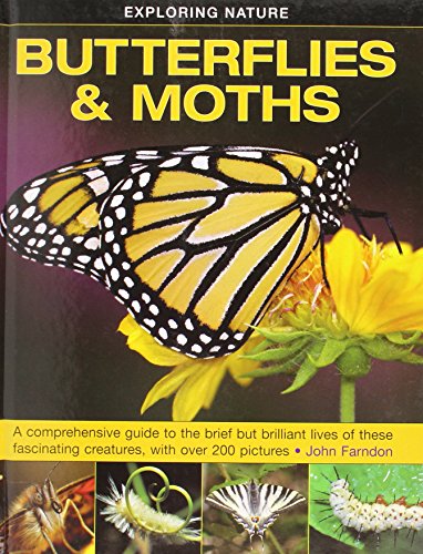 Exploring Nature Butterflies &amp Moths A Comprehensive Guide To The Brief Bu [Hardcover]
