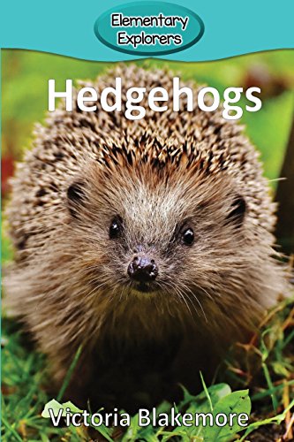 Hedgehogs [Paperback]