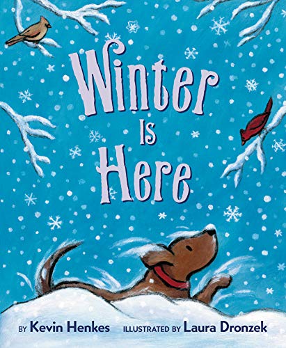 Winter Is Here Board Book [Board book]
