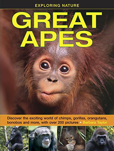 Exploring Nature Great Apes Discover the exciting world of chimps, gorillas, o [Hardcover]