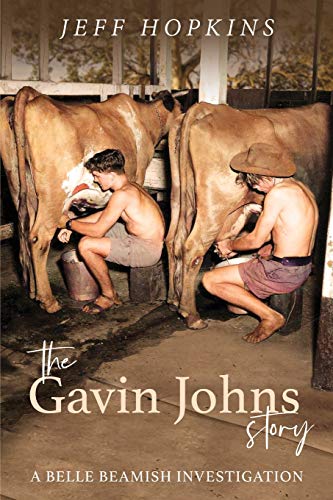 Gavin Johns Story  A Belle Beamish Investigation [Paperback]