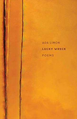 Lucky Wreck Poems [Paperback]