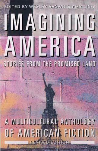 Imagining America Stories from the Promised Land [Paperback]