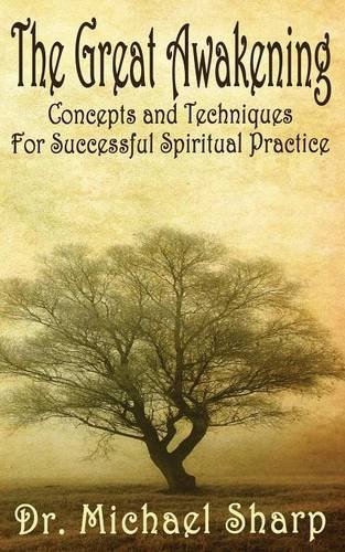 The Great Awakening Concepts And Techniques [Paperback]