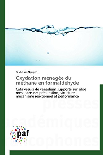 Oxydation Mnage Du Mthane En Formaldhyde Catalyseurs De Vanadium Support S [Paperback]