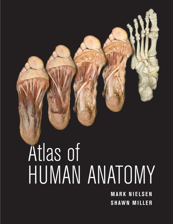 Atlas of Human Anatomy [Paperback]