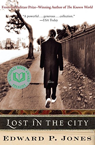 Lost in the City [Paperback]