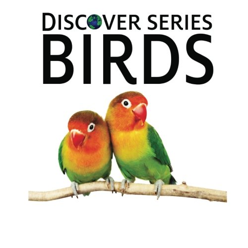 Birds Discover Series Picture Book For Children [Paperback]