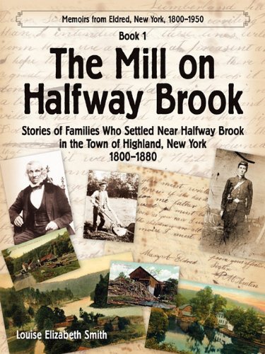 The Mill On Halfway Brook [Paperback]