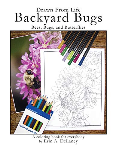 Drawn from Life Backyard Bugs  Bees, Bugs, and Butterflies [Paperback]